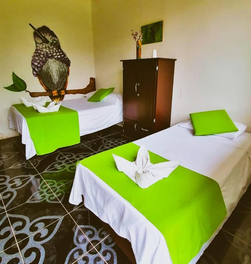 Ecohotel Colibri Salento Luna Park Exterior photo