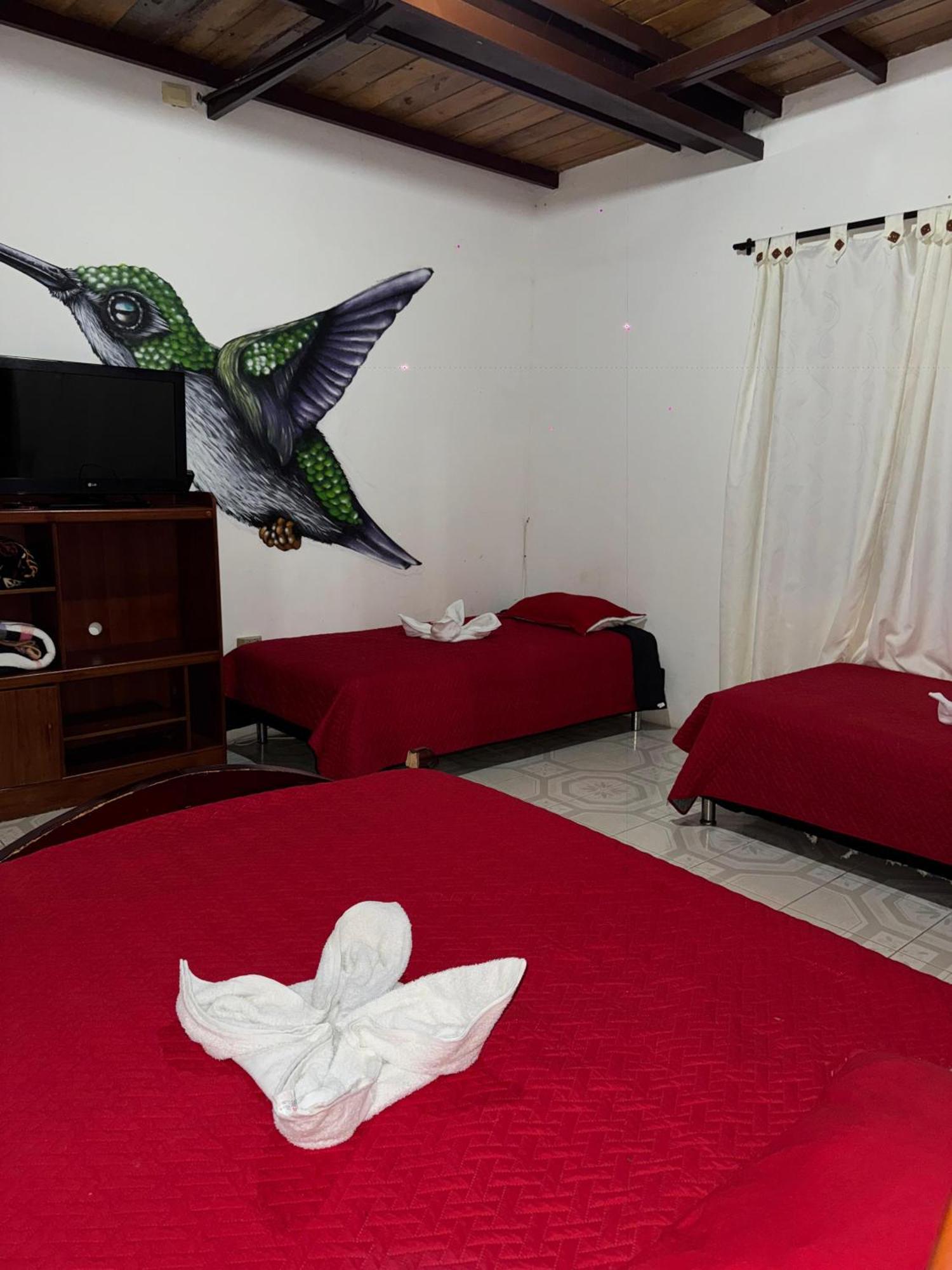 Ecohotel Colibri Salento Luna Park Exterior photo